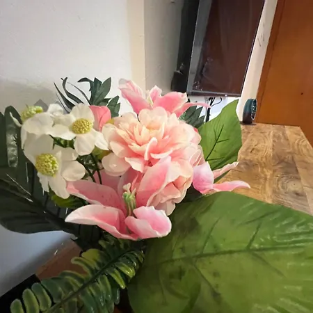 וילה Casa Mi Mar *